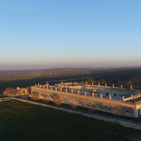 Lama Di Luna Biomasseria Montegrosso Kültér fotó